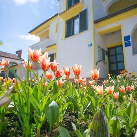 Apartment House Matosevic โปเรช ภายนอก รูปภาพ